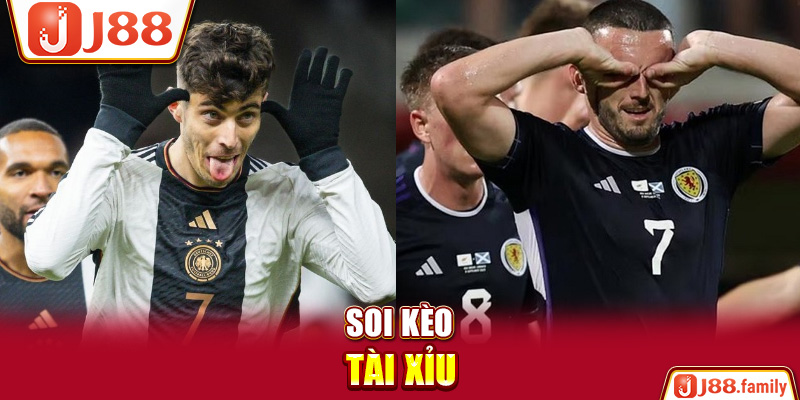 Soi kèo Tài xỉu